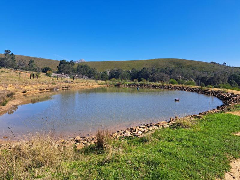 0 Bedroom Property for Sale in Kareedouw Eastern Cape